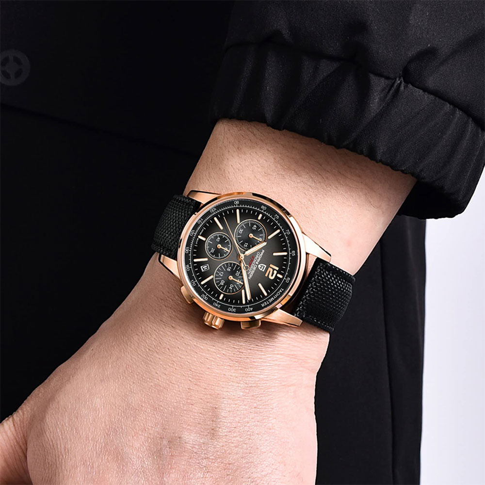 นาฬิกาข้อมือผู้ชาย PAGANI DESI - Mens Fashion Watch บทวิจารณ์และราคา